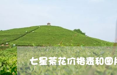 七星茶花价格表和图片/2023092055379