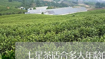 七星茶适合多大年龄的小孩/2023051139482