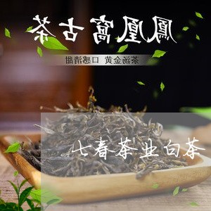 七春茶业白茶/2023051256169