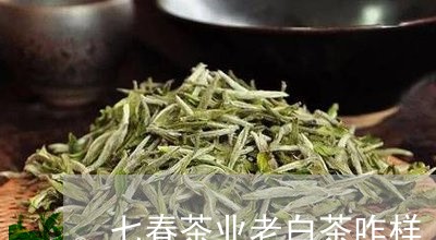 七春茶业老白茶咋样/2023071412527