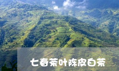 七春茶叶陈皮白茶/2023061542717