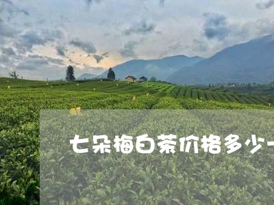 七朵梅白茶价格多少一斤/2023082648491