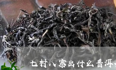 七村八寨出什么普洱茶/2023092911726