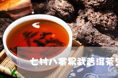 七村八寨易武普洱茶生茶/2023102564950