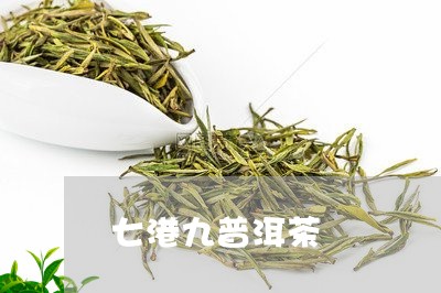 七港九普洱茶/2023042928207