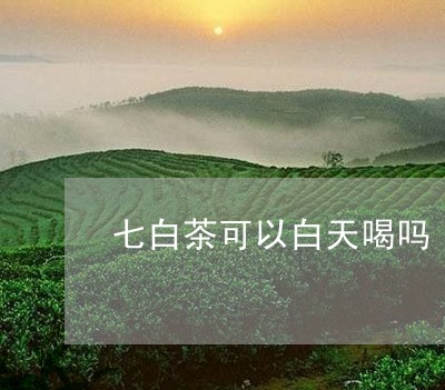 七白茶可以白天喝吗/2023121683048