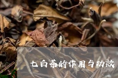 七白茶的作用与功效/2023121615181