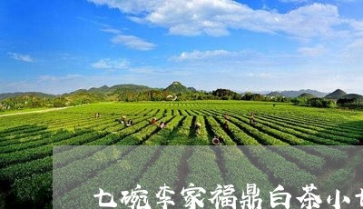 七碗李家福鼎白茶小七/2023082601728