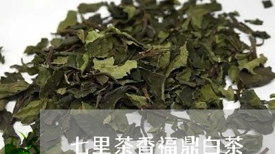 七里茶香福鼎白茶/2023112559505