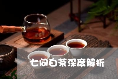 七问白茶深度解析/2023061595038