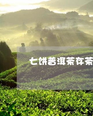 七饼普洱茶存茶袋/2023101643815