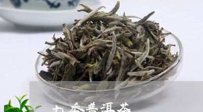 七香普洱茶/2023112615159