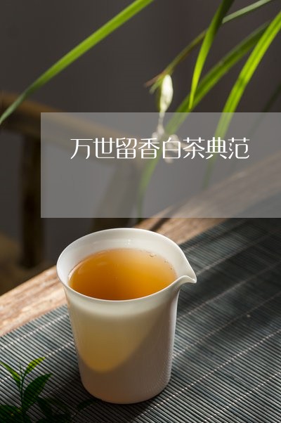 万世留香白茶典范/2023061554836