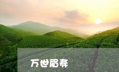 万世眉寿/2023082643734