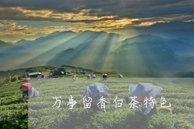 万事留香白茶特色/2023061570682