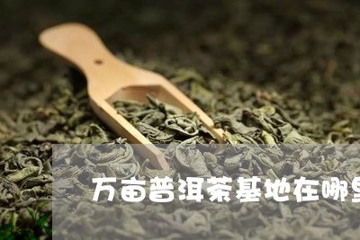 万亩普洱茶基地在哪里啊/2023102520593