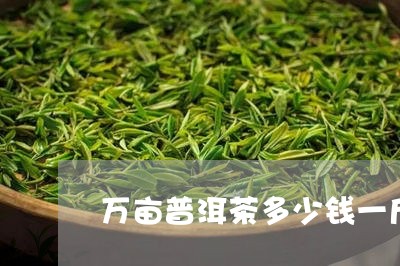 万亩普洱茶多少钱一斤/2023092606268