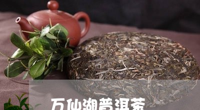 万仙湖普洱茶/2023042788198