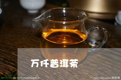 万仟普洱茶/2023102508168