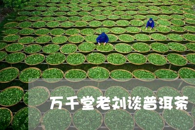 万千堂老刘谈普洱茶/2023082871585