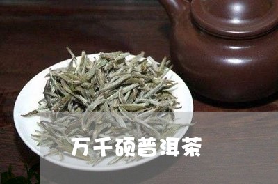 万千硕普洱茶/2023042800091