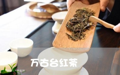 万古台红茶/2023121991815