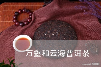 万壑和云海普洱茶/2023081688352