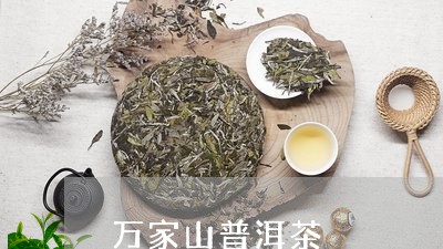 万家山普洱茶/2023090623858