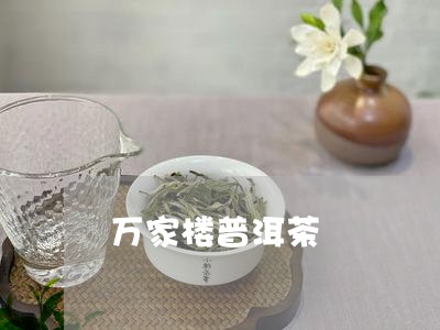 万家楼普洱茶/2023042816824