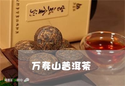 万寿山普洱茶/2023042893602