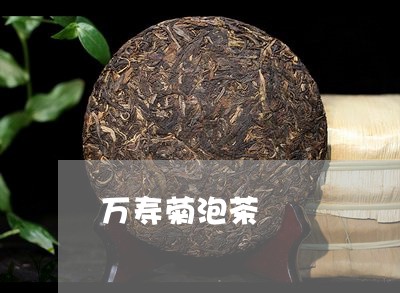 万寿菊泡茶/2023090224030