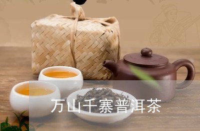 万山千寨普洱茶/2023120358426