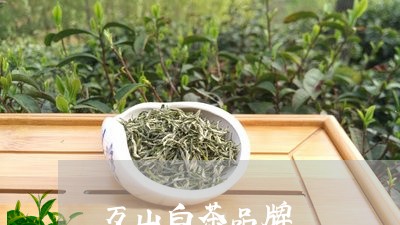 万山白茶品牌/2023051261582