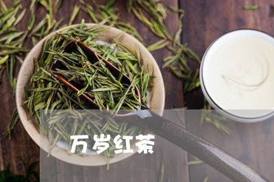 万岁红茶/2023110970693