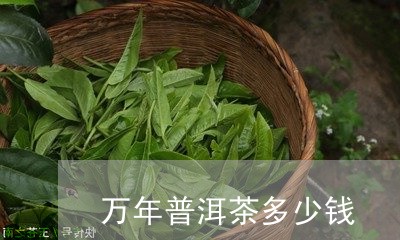 万年普洱茶多少钱/2023110337147