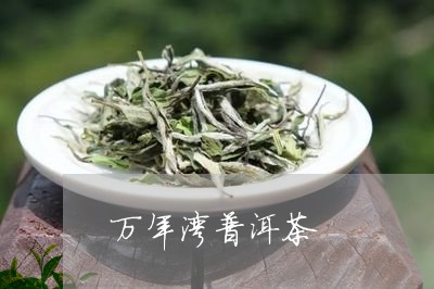 万年湾普洱茶/2023081889371