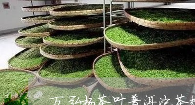 万弘扬茶叶普洱沱茶糯香型价格/2023053117484