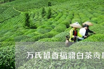 万氏留香福鼎白茶贡眉/2023092053038