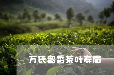 万氏留香茶叶寿眉/2023061518391