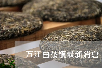 万江白茶镇最新消息/2023081162839