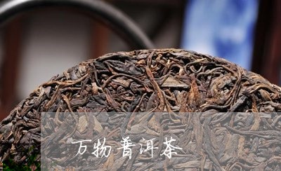 万物普洱茶/2023081501838