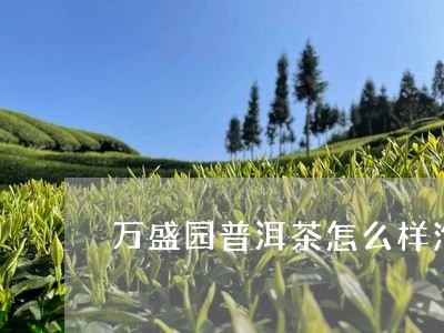 万盛园普洱茶怎么样泡好喝吗/2023082898402