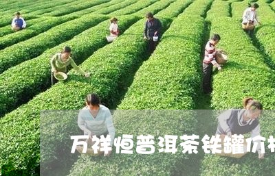 万祥恒普洱茶铁罐价格/2023120629582