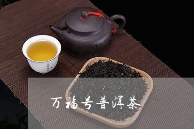 万福号普洱茶/2023042879748