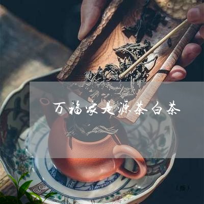 万福家是源茶白茶/2023061520696