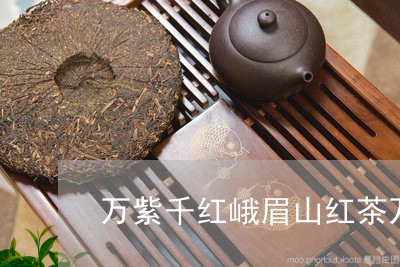 万紫千红峨眉山红茶万佛山牌红茶/2023060208179