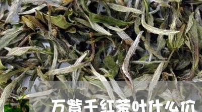 万紫千红茶叶什么价/2023042504867