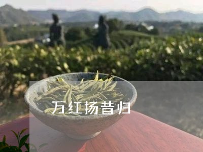 万红扬昔归/2023090203829