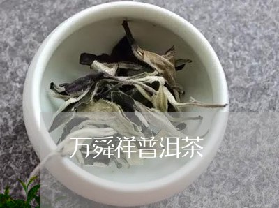 万舜祥普洱茶/2023042559805