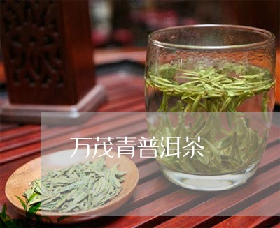 万茂青普洱茶/2023042841566